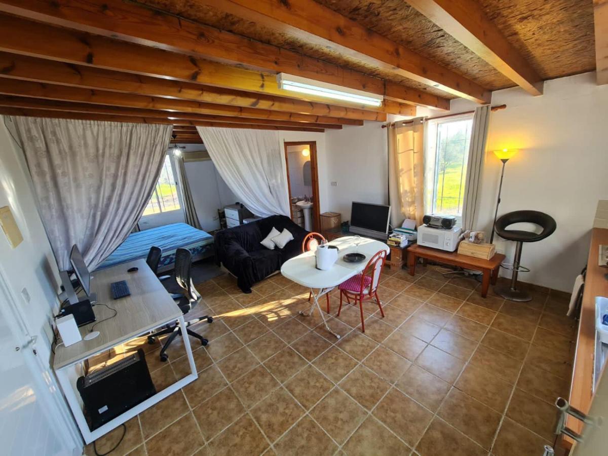 Spacious Studio In Yeroskipou Koloni Exteriör bild