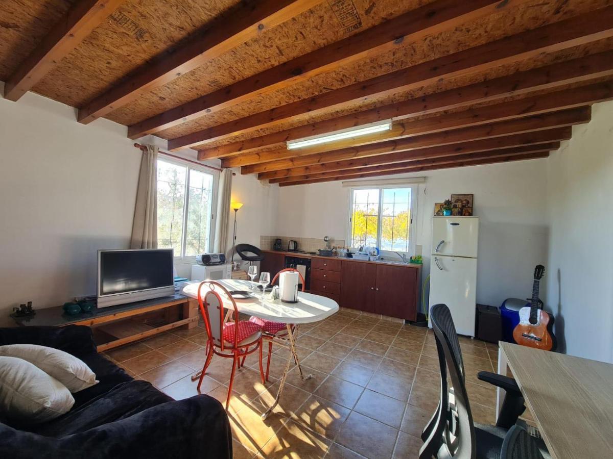 Spacious Studio In Yeroskipou Koloni Exteriör bild